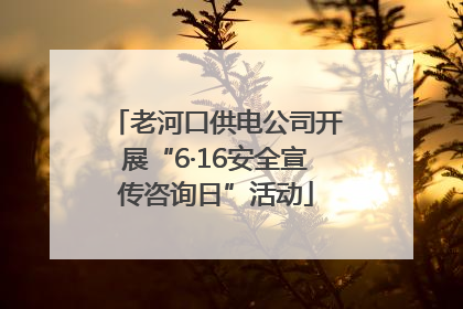 老河口供电公司开展“6·16安全宣传咨询日”活动