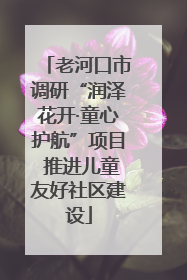 老河口市调研“润泽花开·童心护航”项目 推进儿童友好社区建设