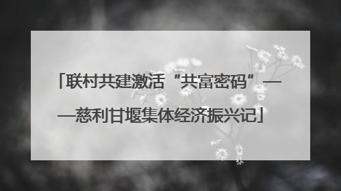 联村共建激活“共富密码”——慈利甘堰集体经济振兴记