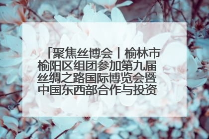 聚焦丝博会丨榆林市榆阳区组团参加第九届丝绸之路国际博览会暨中国东西部合作与投资贸易洽谈会