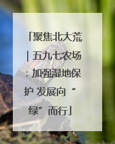 聚焦北大荒｜五九七农场：加强湿地保护 发展向“绿”而行