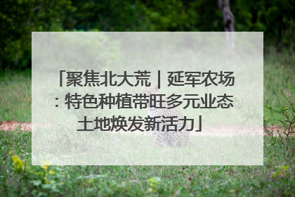 聚焦北大荒｜延军农场：特色种植带旺多元业态 土地焕发新活力