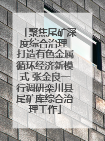 聚焦尾矿深度综合治理 打造有色金属循环经济新模式 张金良一行调研栾川县尾矿库综合治理工作