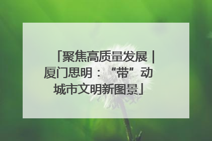 聚焦高质量发展｜厦门思明：“带”动城市文明新图景