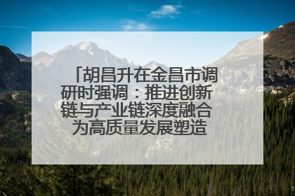 胡昌升在金昌市调研时强调：推进创新链与产业链深度融合 为高质量发展塑造新动能新优势