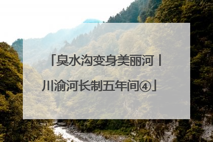 臭水沟变身美丽河丨川渝河长制五年间④