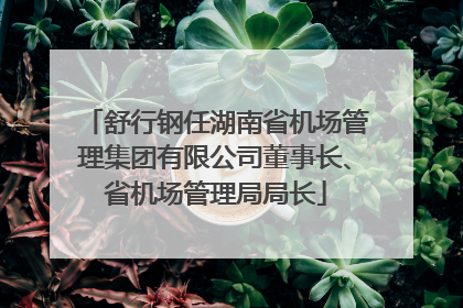 舒行钢任湖南省机场管理集团有限公司董事长、省机场管理局局长