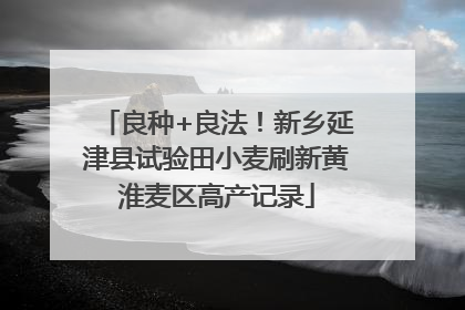 良种+良法！新乡延津县试验田小麦刷新黄淮麦区高产记录