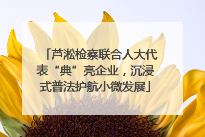 芦淞检察联合人大代表“典”亮企业，沉浸式普法护航小微发展
