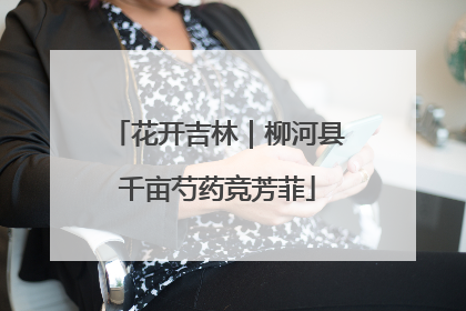 花开吉林｜柳河县千亩芍药竞芳菲
