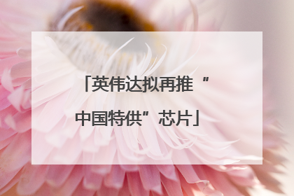 英伟达拟再推“中国特供”芯片