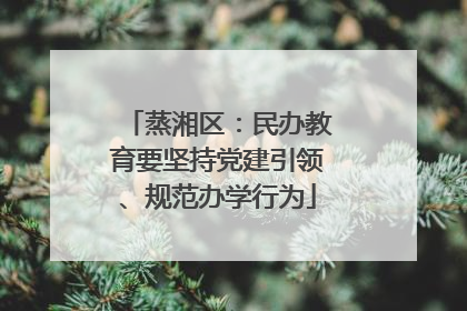 蒸湘区：民办教育要坚持党建引领、规范办学行为