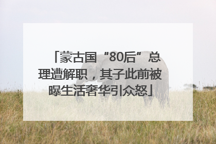 蒙古国“80后”总理遭解职，其子此前被曝生活奢华引众怒