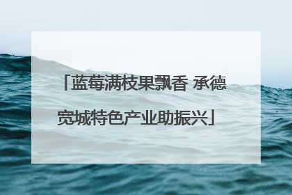 蓝莓满枝果飘香 承德宽城特色产业助振兴