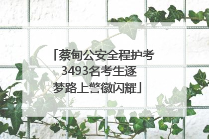 蔡甸公安全程护考 3493名考生逐梦路上警徽闪耀
