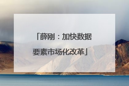 薛刚：加快数据要素市场化改革