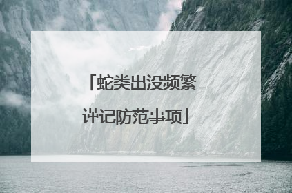 蛇类出没频繁 谨记防范事项