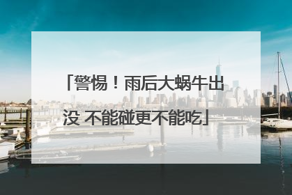 警惕！雨后大蜗牛出没 不能碰更不能吃