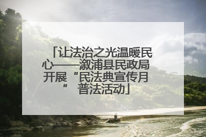 让法治之光温暖民心——溆浦县民政局开展“民法典宣传月” 普法活动