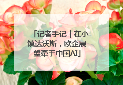 记者手记｜在小镇达沃斯，欧企展望牵手中国AI