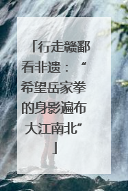 行走赣鄱看非遗：“希望岳家拳的身影遍布大江南北”