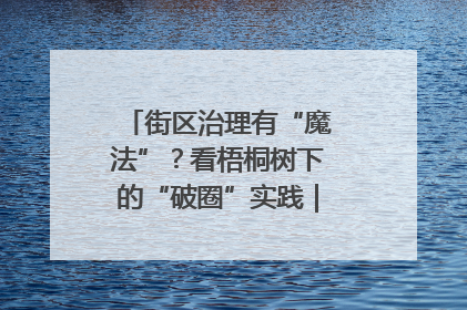 街区治理有“魔法”？看梧桐树下的“破圈”实践｜我在街区当书记