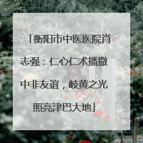 衡阳市中医医院肖志强：仁心仁术播撒中非友谊，岐黄之光照亮津巴大地