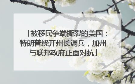 被移民争端撕裂的美国：特朗普绕开州长调兵，加州与联邦政府正面对抗