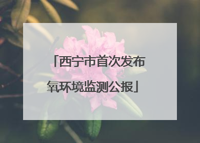 西宁市首次发布氧环境监测公报