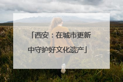 西安：在城市更新中守护好文化遗产