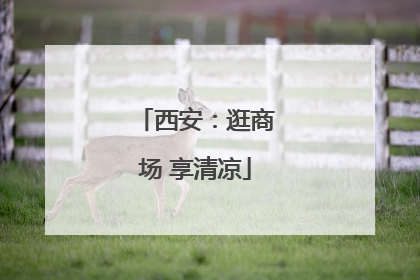 西安：逛商场 享清凉