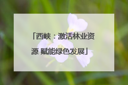 西峡：激活林业资源 赋能绿色发展