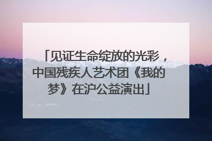 见证生命绽放的光彩，中国残疾人艺术团《我的梦》在沪公益演出