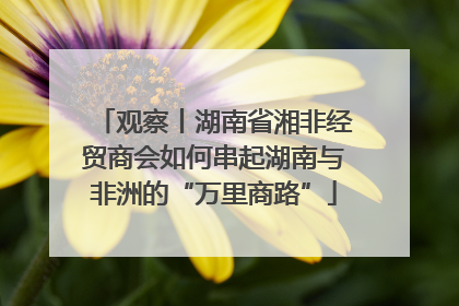 观察丨湖南省湘非经贸商会如何串起湖南与非洲的“万里商路”