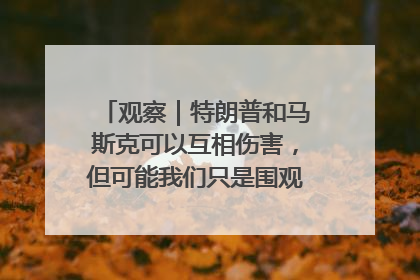 观察｜特朗普和马斯克可以互相伤害，但可能我们只是围观了一场闹剧