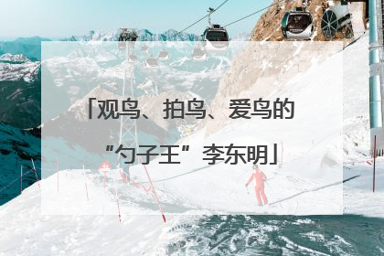 观鸟、拍鸟、爱鸟的“勺子王”李东明