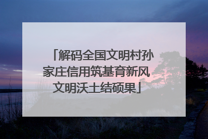 解码全国文明村孙家庄信用筑基育新风文明沃土结硕果