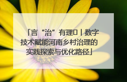 言“治”有理⑪丨数字技术赋能河南乡村治理的实践探索与优化路径