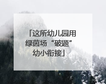 这所幼儿园用绿茵场“破题”幼小衔接
