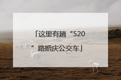 这里有趟“520”路婚庆公交车