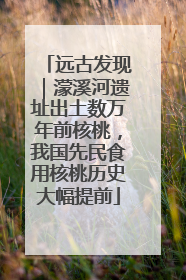 远古发现｜濛溪河遗址出土数万年前核桃，我国先民食用核桃历史大幅提前