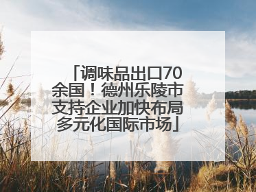 调味品出口70余国！德州乐陵市支持企业加快布局多元化国际市场