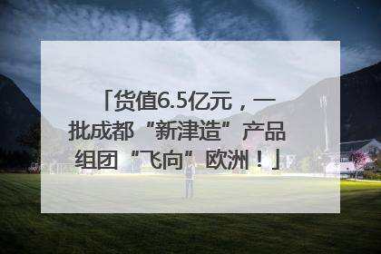 货值6.5亿元，一批成都“新津造”产品组团“飞向”欧洲！