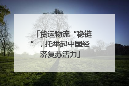 货运物流“稳链”，托举起中国经济复苏活力