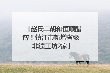 赵氏二胡和恒顺醋博！镇江市新增省级非遗工坊2家