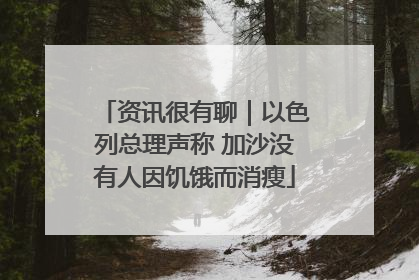 资讯很有聊｜以色列总理声称 加沙没有人因饥饿而消瘦