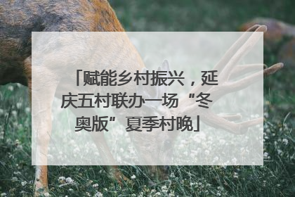 赋能乡村振兴，延庆五村联办一场“冬奥版”夏季村晚