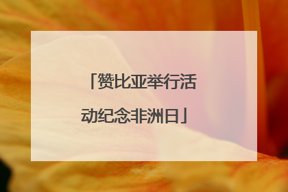 赞比亚举行活动纪念非洲日