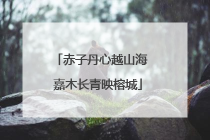 赤子丹心越山海 嘉木长青映榕城