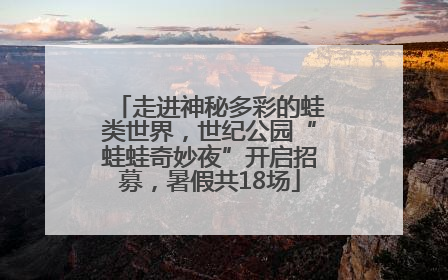 走进神秘多彩的蛙类世界，世纪公园“蛙蛙奇妙夜”开启招募，暑假共18场